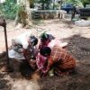 Tree planting program implemented in the office premises